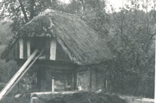 eika image